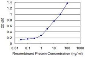 Detection limit for recombinant GST tagged DHDH is 0. (DHDH antibody  (AA 235-334))