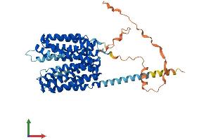 AlphaFold protein structure predicition of Human Recombinant SLC16A10 Protein, UniprotID Q8TF71 (SLC16A10 Protein (AA 1-515) (His tag))