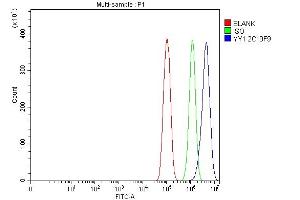 Flow Cytometry analysis of PC-3 cells using anti-YY1 antibody (ABIN7602999). (YY1 antibody  (Middle Region))