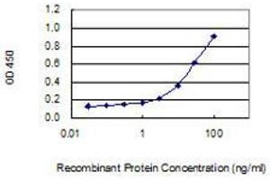 ELISA image for anti-serine/threonine Kinase 33 (STK33) (AA 1-514) antibody (ABIN566312)