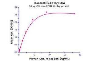 Immobilized Human B7-H2, His Tag (Cat# B72-H5221) at 1μg/mL (100 µl/well),can bind Human ICOS, Fc Tag (Cat# ICS-H5250) with a linear of 0. (ICOSLG Protein (AA 19-258) (His tag))