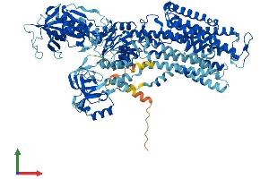 AlphaFold protein structure predicition of Mouse Recombinant Atp1a3 Protein, UniprotID Q6PIC6 (ATP1A3 Protein (AA 1-1013) (His tag))