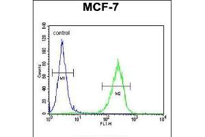Flow cytometric analysis of MCF-7 cells (right histogram) compared to a negative control cell (left histogram). (CO027 (AA 503-531), (C-Term) antibody)