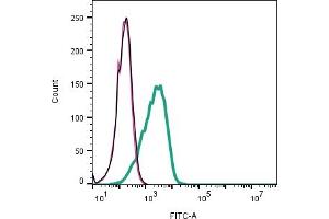 anti-Purinergic Receptor P2Y, G-Protein Coupled, 1 (P2RY1) (AA 207-220), (Extracellular) antibody