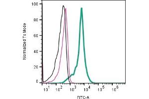 Cell surface detection of CD63 by indirect flow cytometry in  derived exosomes:Exosomes only. (CD63 antibody  (Extracellular))