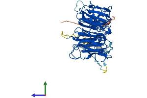 Protein Structure (PS) image for Williams-Beuren Syndrome Chromosome Region 16 (WBSCR16) (AA 1-464) protein (His tag) (ABIN7545173)