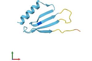 AlphaFold protein structure predicition of Human Recombinant UBE2DNL Protein, UniprotID Q8IWF7 (UBE2DNL Protein (AA 1-75) (Fc Tag))
