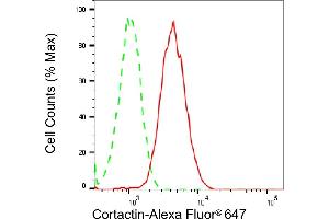 Flow cytometric analysis of Cortactin expression in H9c2 cells using Cortactin antibody (ABIN7798158), 1:2,000).