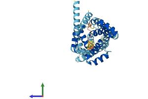 AlphaFold protein structure predicition of Mouse Recombinant Slc25a47 Protein, UniprotID Q6IS41 (SLC25A47 Protein (AA 1-310) (His tag))