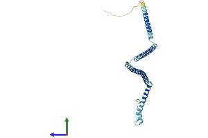 AlphaFold protein structure predicition of Mouse Recombinant Cenph Protein, UniprotID Q9QYM8 (CENPH Protein (AA 1-241) (His tag))