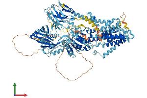 AlphaFold protein structure predicition of Mouse Recombinant Atp9b Protein, UniprotID P98195 (ATP9B Protein (AA 1-1146) (His tag))
