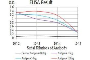 Black line: Control Antigen (100 ng);Purple line: Antigen (10ng); Blue line: Antigen (50 ng); Red line:Antigen (100 ng) (EIF5 antibody  (AA 1-300))