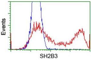 HEK293T cells transfected with either RC218359 overexpress plasmid (Red) or empty vector control plasmid (Blue) were immunostained by anti-SH2B3 antibody (ABIN2454462), and then analyzed by flow cytometry.