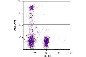 Human peripheral blood lymphocytes were stained with Mouse Anti-Human CD8-CY5. (CD8 antibody  (Cy5))