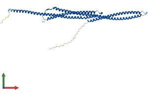 Protein Structure (PS) image for Tektin 2 (Testicular) (TEKT2) (AA 1-430) protein (His tag) (ABIN7544247)