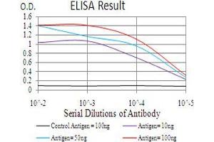 Black line: Control Antigen (100 ng), Purple line: Antigen(10 ng), Blue line: Antigen (50 ng), Red line: Antigen (100 ng), (HDAC9 antibody  (AA 343-569))