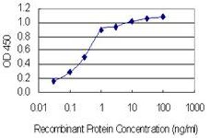 Detection limit for recombinant GST tagged SLC37A4 is 0.