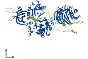 Protein Structure (PS) image for Neutral Sphingomyelinase (N-SMase) Activation Associated Factor (NSMAF) (AA 1-920) protein (His tag) (ABIN7562290)