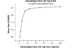 Immobilized Trastuzumab at 2 μg/mL (100 μL/well) can bind Cynomolgus Her2, His Tag (ABIN5954985,ABIN6253551) with a linear range of 2-6 ng/mL (QC tested). (ErbB2/Her2 Protein (AA 23-652) (His tag))