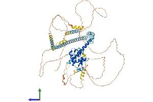 Protein Structure (PS) image for Forkhead Box P2 (FOXP2) (AA 1-715) protein (His tag) (ABIN7553941)