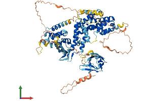 AlphaFold protein structure predicition of Mouse Recombinant Rgl1 Protein, UniprotID Q60695