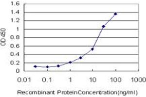 Detection limit for recombinant GST tagged LEF1 is approximately 0.