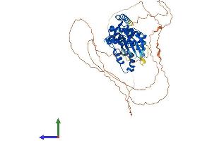 AlphaFold protein structure predicition of Human Recombinant CDKL3 Protein, UniprotID Q8IVW4