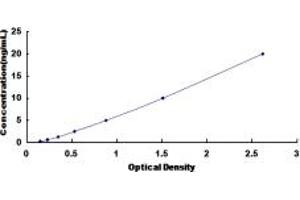 Typical standard curve (NUCB2 ELISA Kit)