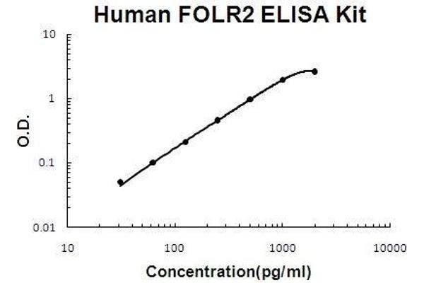 FOLR2 ELISA Kit