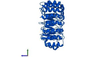 AlphaFold protein structure predicition of Mouse Recombinant Rnh1 Protein, UniprotID Q91VI7