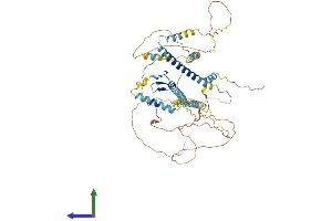 AlphaFold protein structure predicition of Mouse Recombinant Gatad2b Protein, UniprotID Q8VHR5