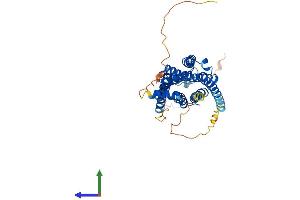 Protein Structure (PS) image for Adrenergic, beta-3-, Receptor (ADRB3) (AA 1-400) protein (His tag) (ABIN7563012)