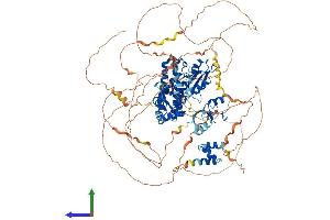 AlphaFold protein structure predicition of Mouse Recombinant Cblb Protein, UniprotID Q3TTA7