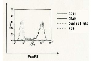 Flow Cytometry (FACS) image for anti-Fc Fragment of IgE Receptor Ia (FCER1A) (AA 85-172) antibody (ABIN2451979) (Fc epsilon RI/FCER1A antibody  (AA 85-172))