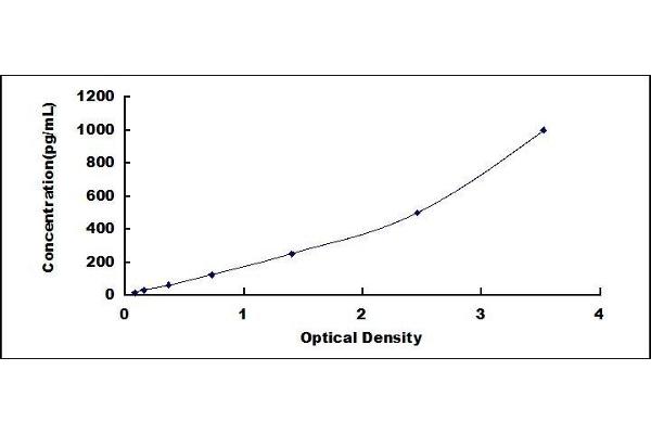 C1QTNF9 ELISA Kit