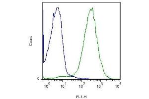 Mouse intestine cells probed with Rabbit Anti-Robo4 Polyclonal Antibody, FITC Conjugated (ABIN714866-FITC) (green) at 1:50 for 60 minutes compared to control cells (red). (ROBO4 antibody  (AA 261-360))