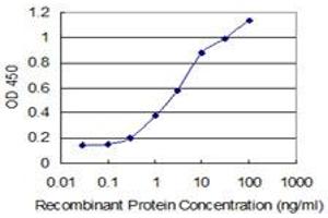 Detection limit for recombinant GST tagged SNAPC4 is 0. (SNAPC4 antibody  (AA 53-162))