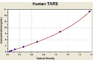 Diagramm of the ELISA kit to detect Human TARSwith the optical density on the x-axis and the concentration on the y-axis.