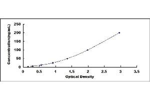 Typical standard curve (HSP70 ELISA Kit)