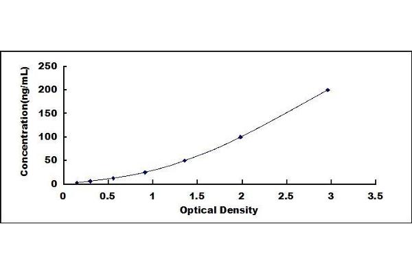 HSP70 ELISA Kit