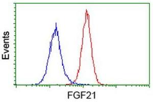 Flow cytometric Analysis of Hela cells, using anti-FGF21 antibody (ABIN2454488), (Red), compared to a nonspecific negative control antibody, (Blue). (FGF21 antibody  (AA 29-209))