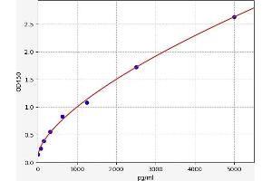 Glucuronidase, beta (GUSB) ELISA Kit