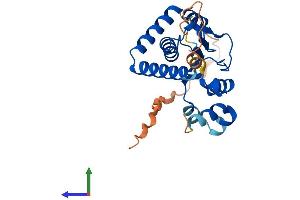 AlphaFold protein structure predicition of Mouse Recombinant Srrd Protein, UniprotID Q8K2M3