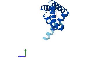 AlphaFold protein structure predicition of Mouse Recombinant Eny2 Protein, UniprotID Q9JIX0 (ENY2 Protein (AA 1-101) (His tag))