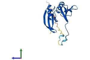 AlphaFold protein structure predicition of Human Recombinant GLOD5 Protein, UniprotID A6NK44