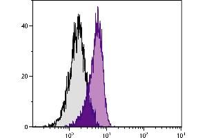 PMA and ionomycin stimulated BALB/c mouse splenocytes were intracellularly stained with Rat Anti-Mouse IL-10-FITC. (IL-10 antibody)