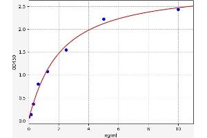 Typical standard curve (KYNU ELISA Kit)