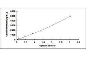 Cold Inducible RNA Binding Protein (CIRBP) ELISA Kit