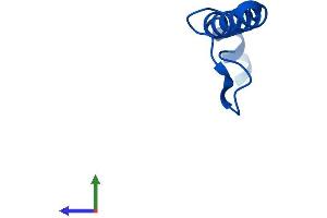 Protein Structure (PS) image for NADH Dehydrogenase (Ubiquinone) 1 beta Subcomplex, 1, 7kDa (NDUFB1) (AA 1-57) protein (Fc Tag) (ABIN7562820)