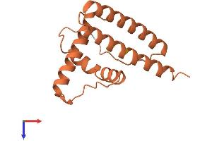 Chromosome 1 Open Reading Frame 220 (C1ORF220) (AA 1-134) protein (His tag)